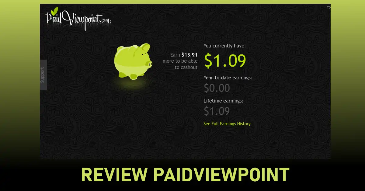 review paidviewpoint