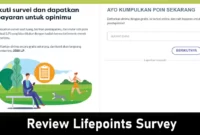 review lifepoints survey