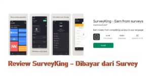 review surveyking