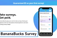 bananabucks survey