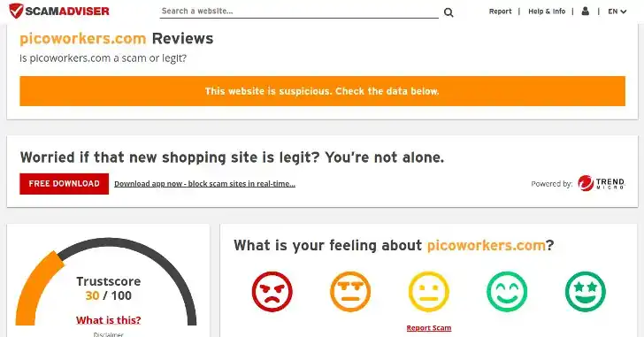 picoworkers scamadviser
